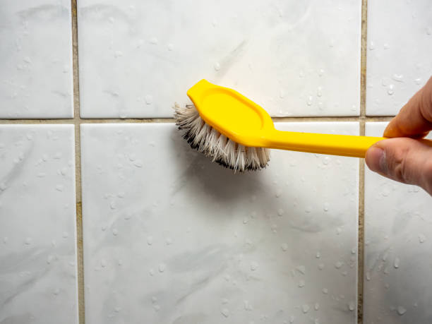 Best Mold Removal Near Me  in New Glarus, WI