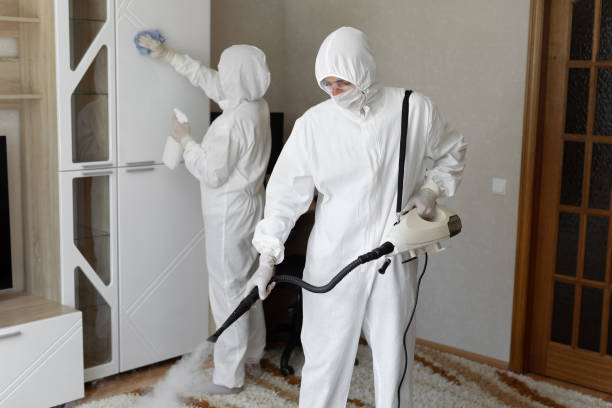 Mold Removal Process in New Glarus, WI