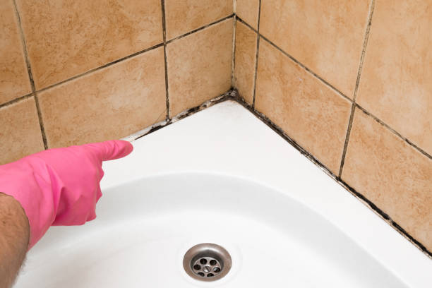 Best Mold Testing  in New Glarus, WI